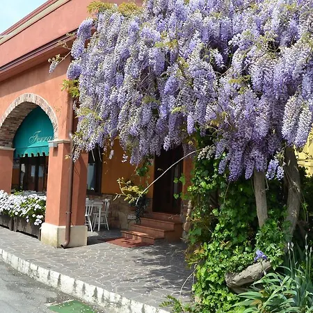 Hotel Ferrari Goro