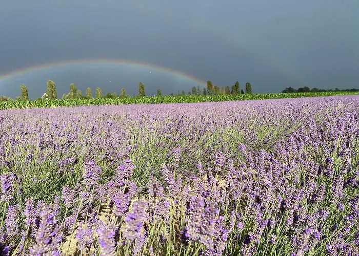 Szálloda Ferrari Goro