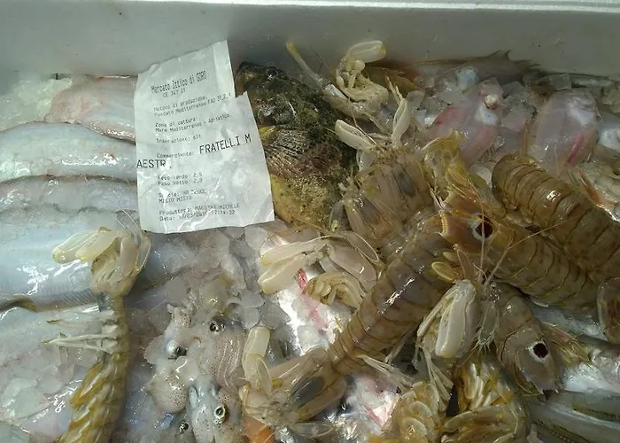 Szálloda Ferrari Goro